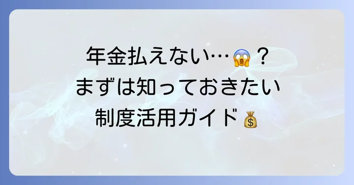 年金保険料の支払いが困難な場合の選択肢