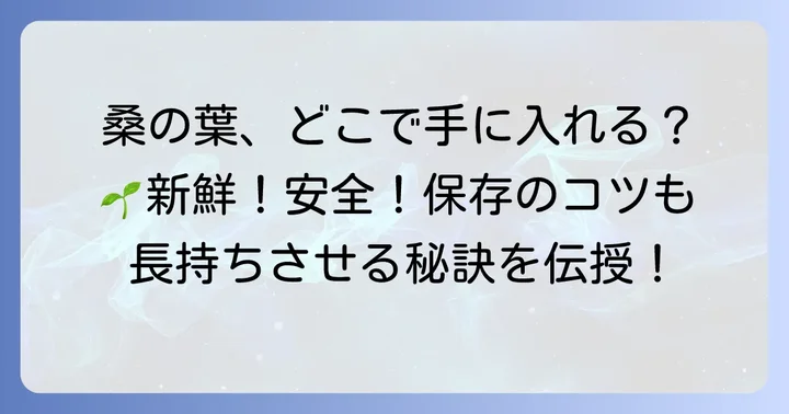 桑の葉の入手方法と長持ちさせる保存のコツ