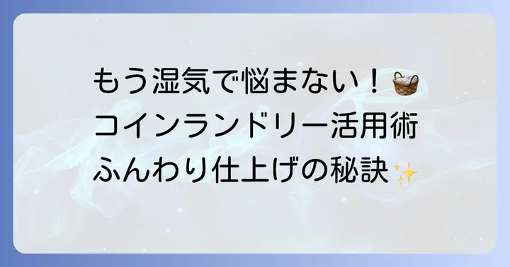 毛布のコインランドリー乾燥のみは賢い選択！その理由とは