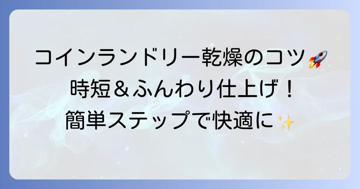 コインランドリーでの毛布乾燥のみの進め方