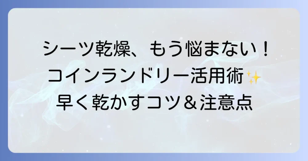 コインランドリーのシーツ乾燥時間目安と早く乾かすコツ・失敗しないための注意点