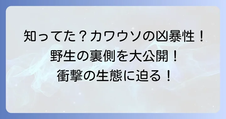 意外と知らないカワウソの凶暴性とその理由
