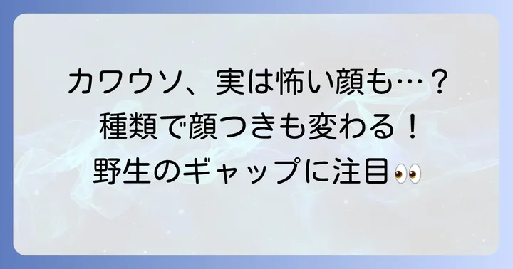 カワウソの種類と「怖い顔」の個体差