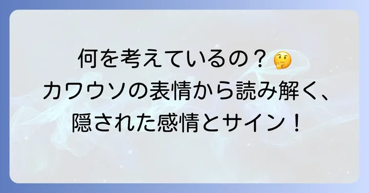 カワウソの行動から読み解く感情と意図