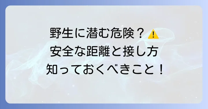 カワウソとの安全な接し方と注意点