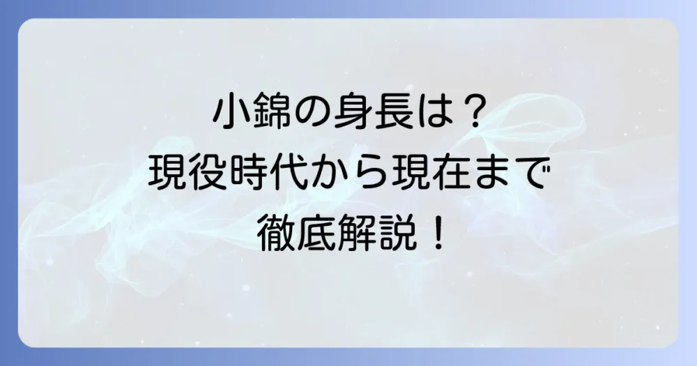 小錦の身長は?現役時代から現在まで、その巨大な体格を徹底解説