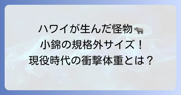 小錦の基本情報と現役時代の体格