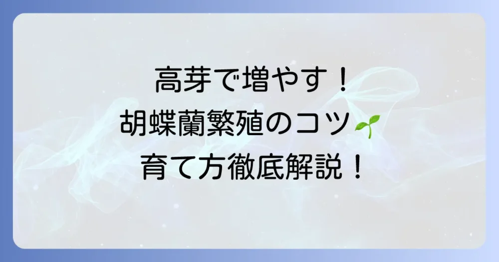 胡蝶蘭の高芽の出し方徹底解説！増やすコツから育て方まで