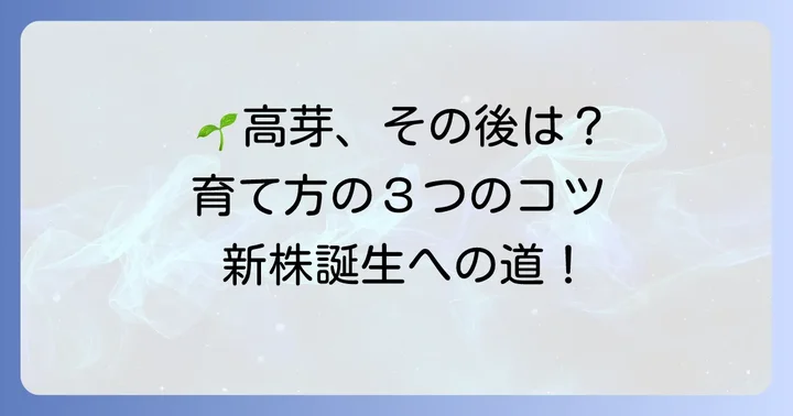 高芽が出たらどうする？その後の育て方