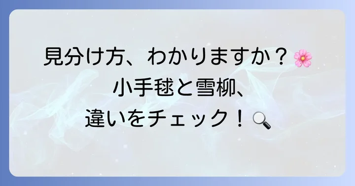 小手毬と雪柳はどこが違う？見分け方のコツ