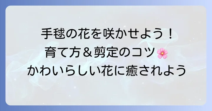 小手毬の育て方と魅力を深掘り