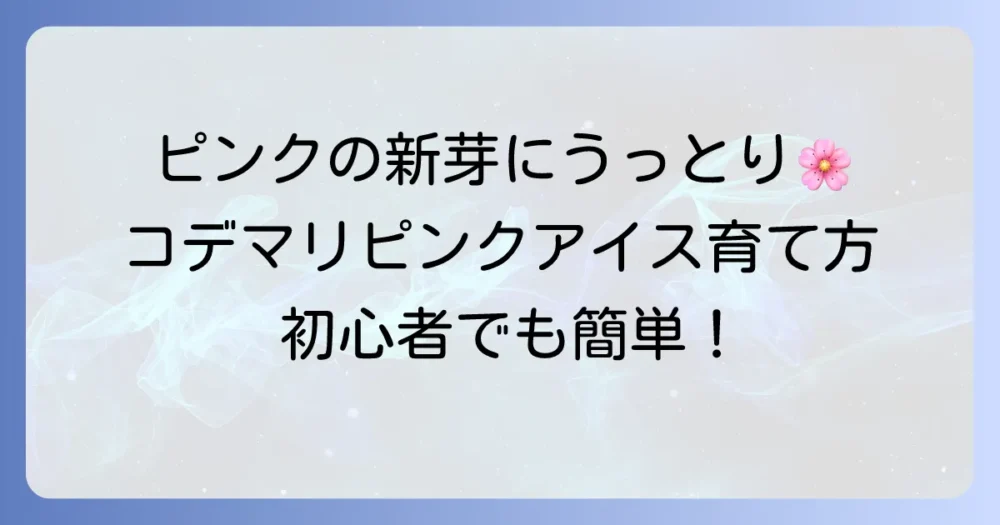 コデマリピンクアイスの育て方!植え付け・水やり・剪定・病害虫対策まで徹底解説