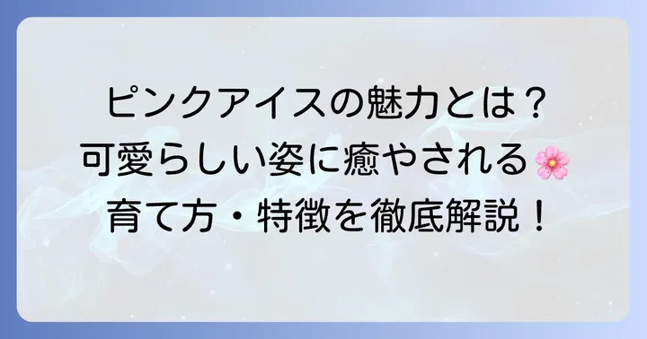 コデマリピンクアイスの基本情報と魅力