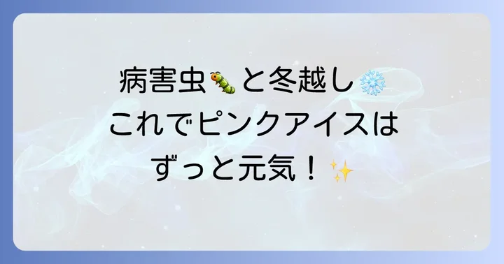 コデマリピンクアイスの病害虫対策と冬越し