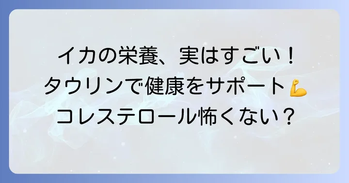 イカが持つコレステロール以外の素晴らしい栄養素