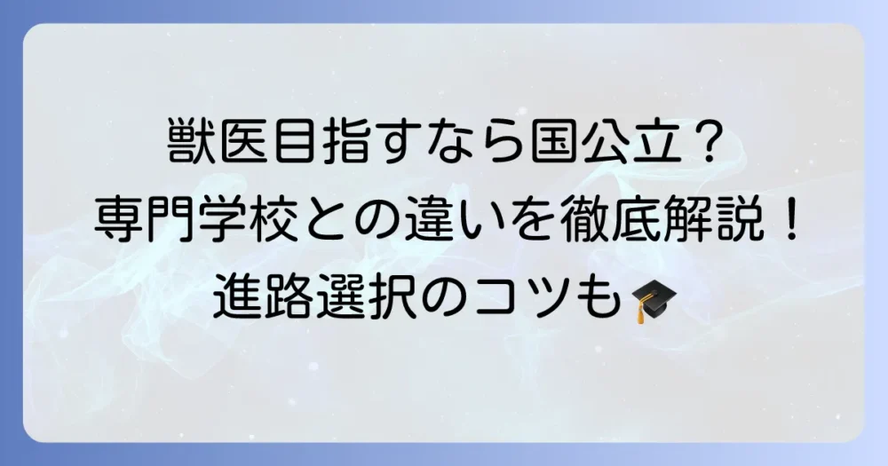 動物看護師を目指せる国公立大学を徹底解説!専門学校との違いや進路選択のコツ