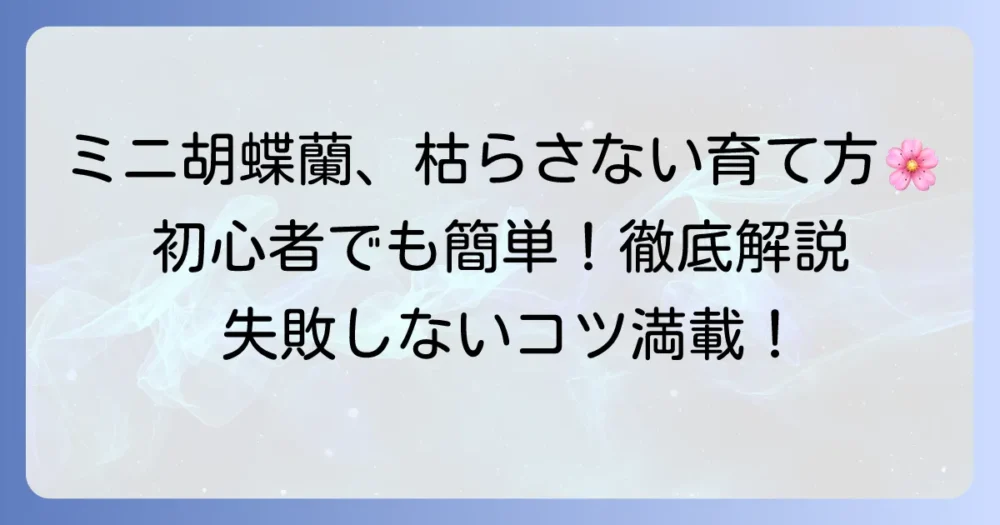 ミニ胡蝶蘭の育て方:初心者でも失敗しないための徹底解説