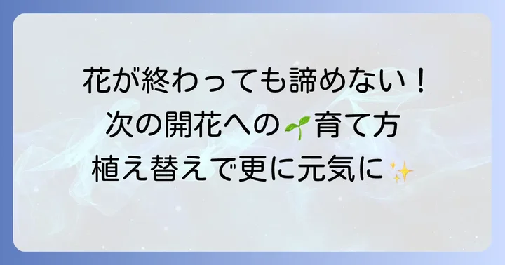 花が終わった後の手入れと植え替え