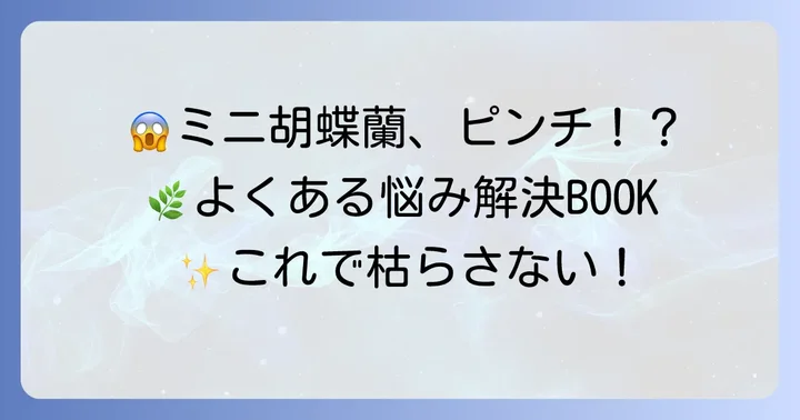 ミニ胡蝶蘭のよくあるトラブルと解決策