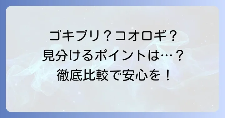コオロギに似たゴキブリの種類とその特徴