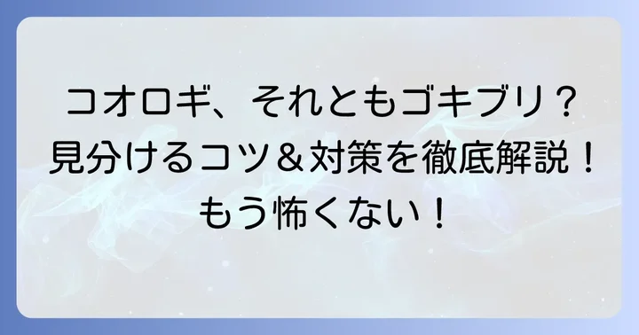もしコオロギだった場合の対処法と予防策