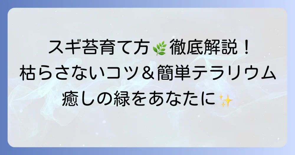 スギゴケの育て方徹底解説！枯らさない水やり・日当たりのコツと、土・テラリウム・苔庭での栽培方法