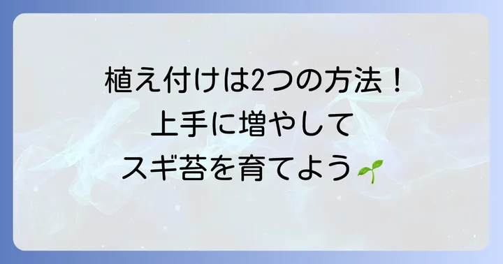 スギ苔の植え付けと増やし方