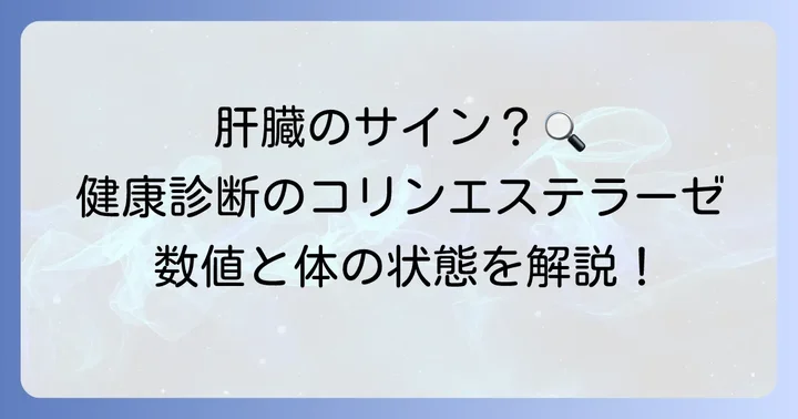 コリンエステラーゼとは？健康診断でわかる肝臓のサイン