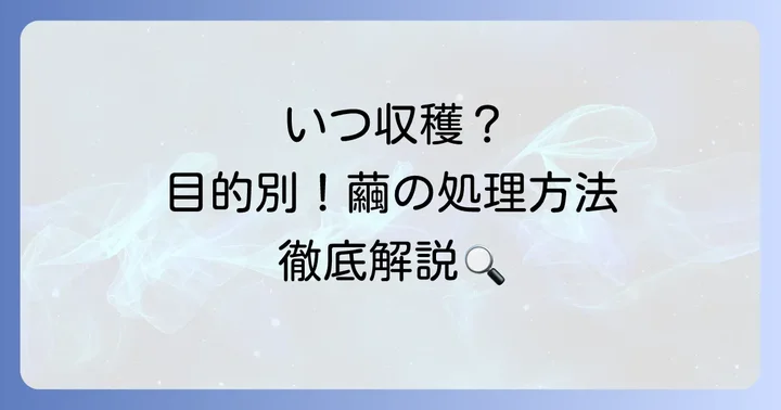 繭の収穫と目的別処理方法