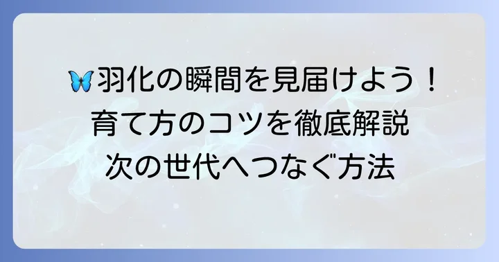 繭から蛾を羽化させる場合の飼育方法