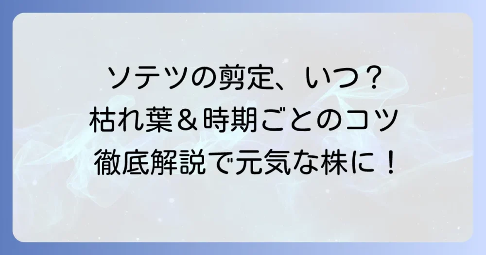 ソテツの葉を切る時期はいつ？枯れた葉の剪定と手入れを徹底解説