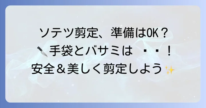 ソテツの葉の正しい切り方と準備