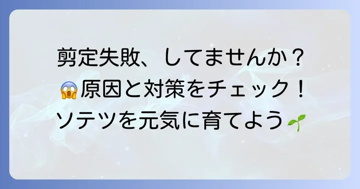 ソテツの葉を切る際のよくある失敗と対策