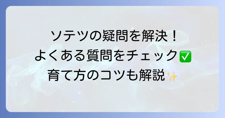 ソテツの葉に関するよくある質問