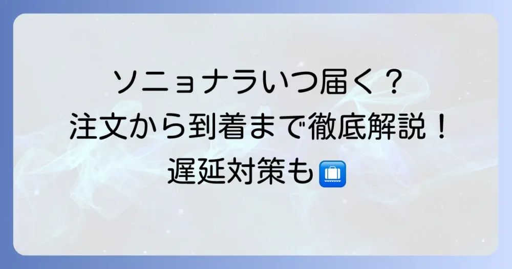 ソニョナラは届くまでの期間はどれくらい？注文から到着までの流れと遅延対策を徹底解説