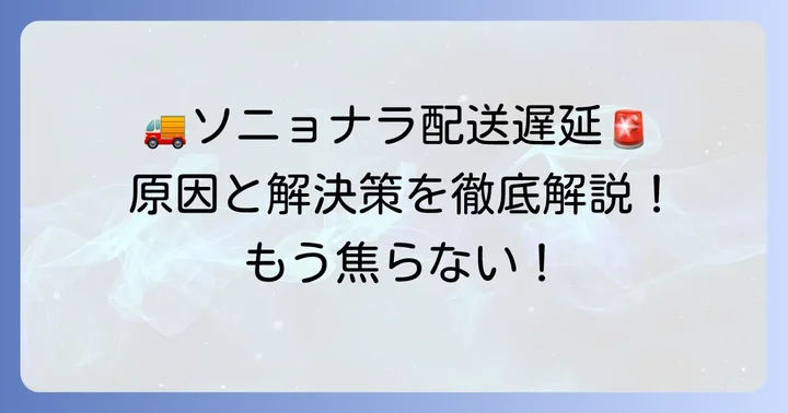 ソニョナラの配送が遅れる主な理由と解決策