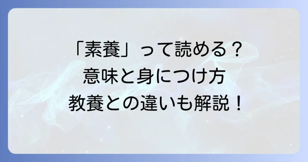 素養の読み方と意味を徹底解説！教養との違いや身につける方法
