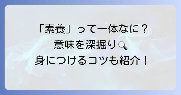 「素養」とは？基礎的な知識や技能を指す言葉の意味を深掘り