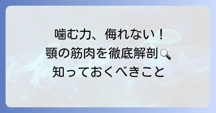 咀嚼筋とは？噛むための重要な筋肉を理解しよう