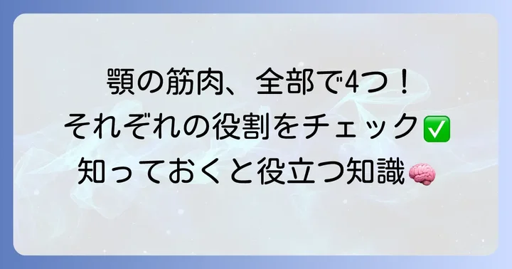 咀嚼筋はどれか？主要な4つの筋肉とその働き
