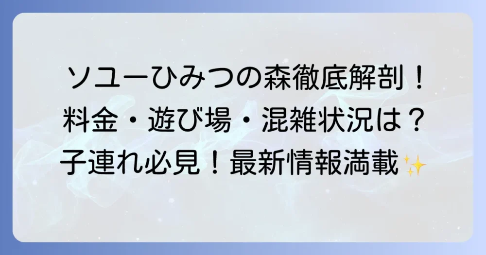 ソユーひみつの森レビュー！料金や遊び場、混雑状況まで徹底解説