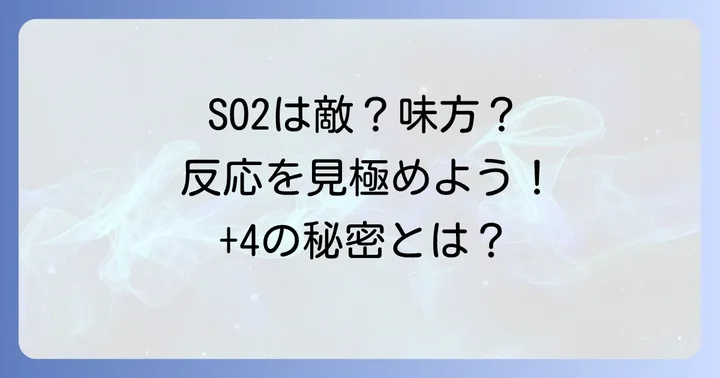 SO2の酸化還元反応における役割