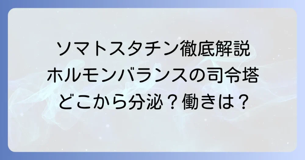 ソマトスタチンはどこから分泌される？ その主要な産生部位と重要な働きを徹底解説