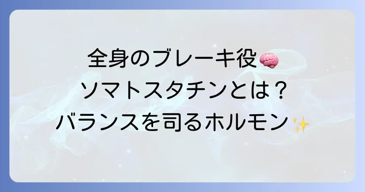 ソマトスタチンとは？全身のバランスを司る抑制ホルモンの基本