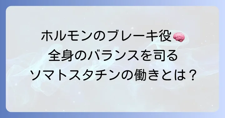 ソマトスタチンの多岐にわたる働きと生理的役割
