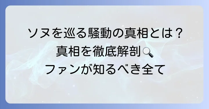 ドボイズソヌに関するその他の騒動や誤解