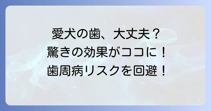 チューイングブラシの驚くべき効果とは？