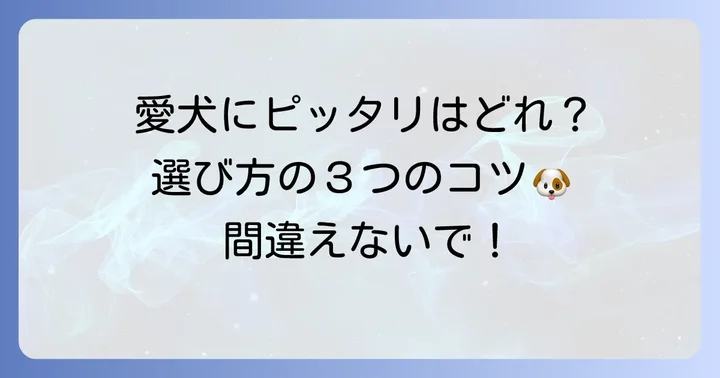 効果を最大限に引き出す！チューイングブラシの選び方