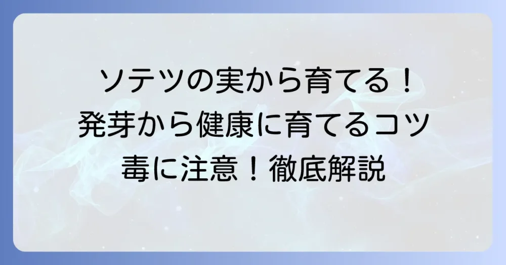 ソテツの実の育て方を徹底解説!発芽から健康に育てるコツと注意点