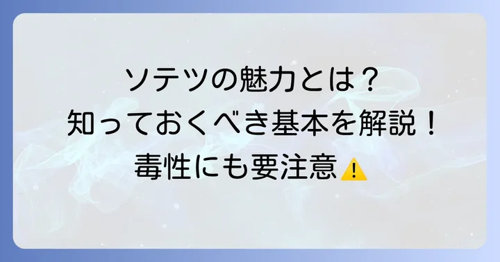 ソテツの基本を知ろう!実から育てる前に押さえるべきこと